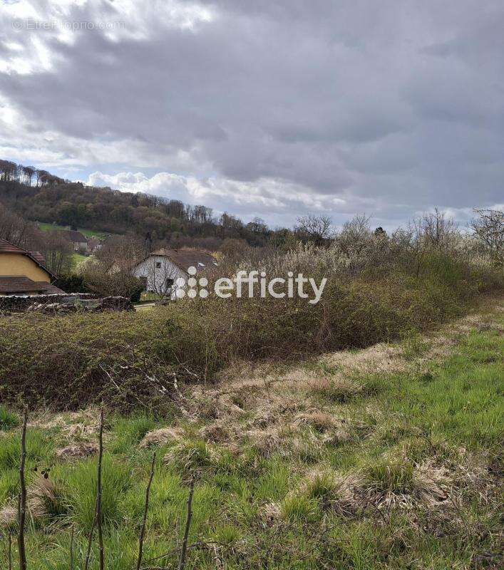 Terrain à ROUGEMONTOT