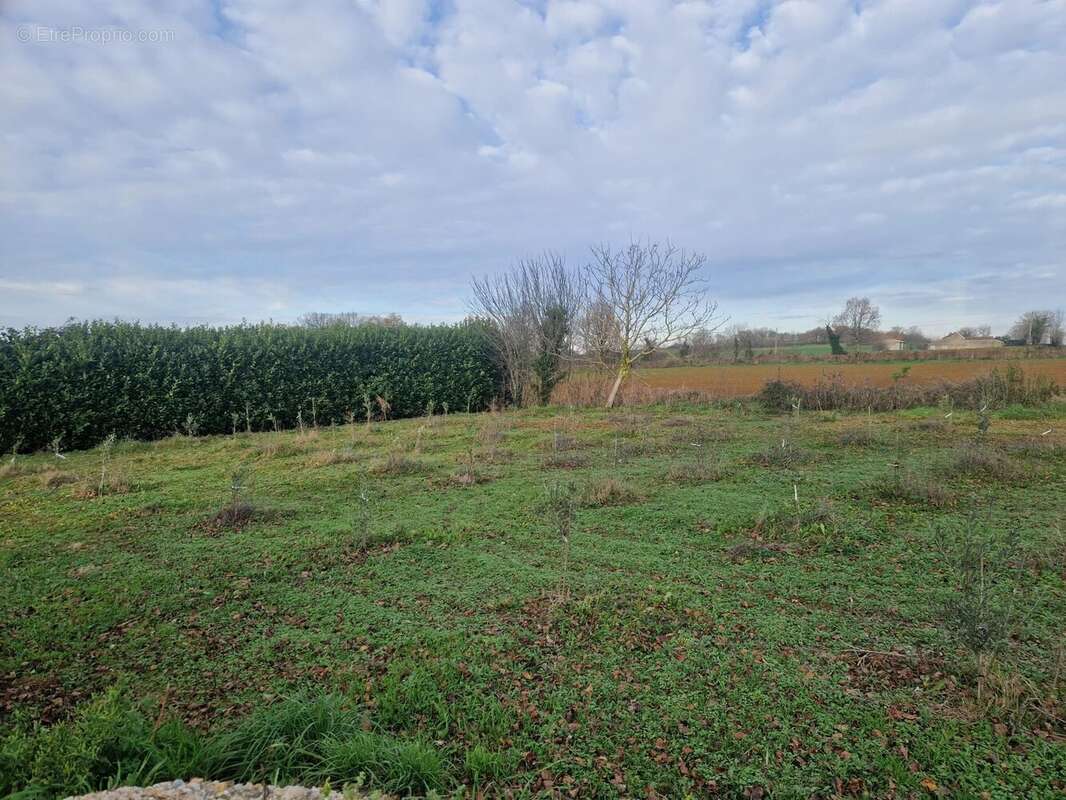 Maison Quercynoise - photo 12