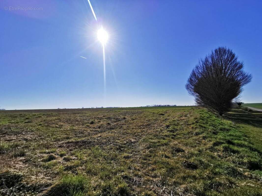 Terrain à MARQUION