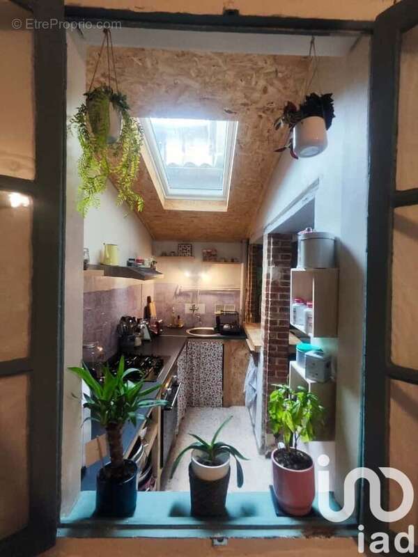 Photo 5 - Maison à MONTRICOUX