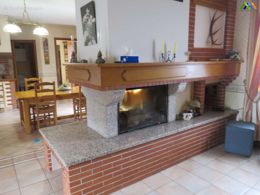 Maison 315 m² à Castelnau-Magnoac  - photo 6