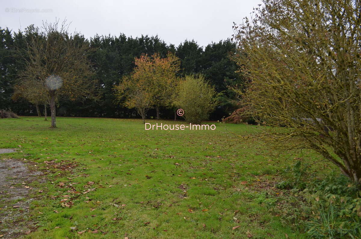 Terrain à GRAND-CAMP