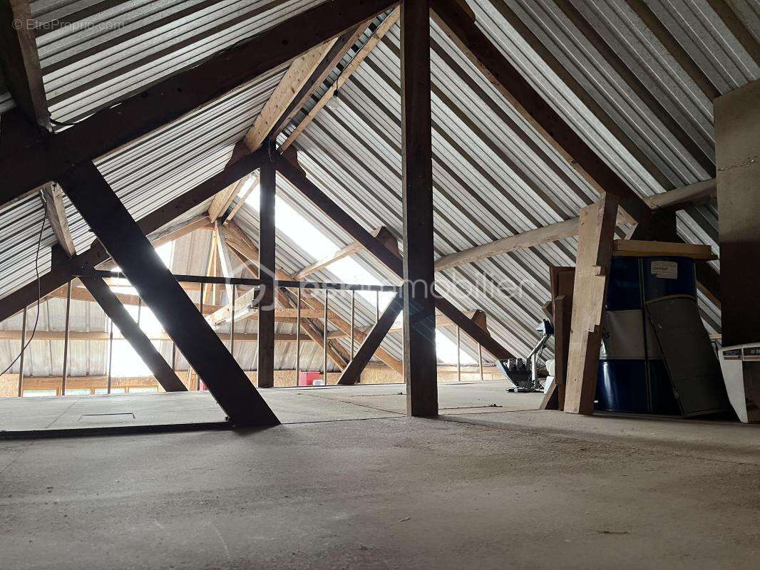 Commerce à BEAUFOUR-DRUVAL