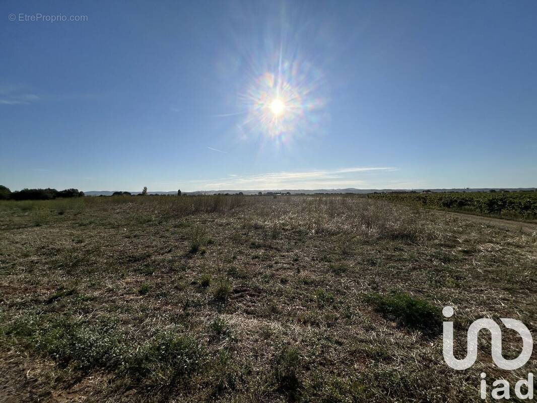 Photo 1 - Terrain à BOUZIGUES