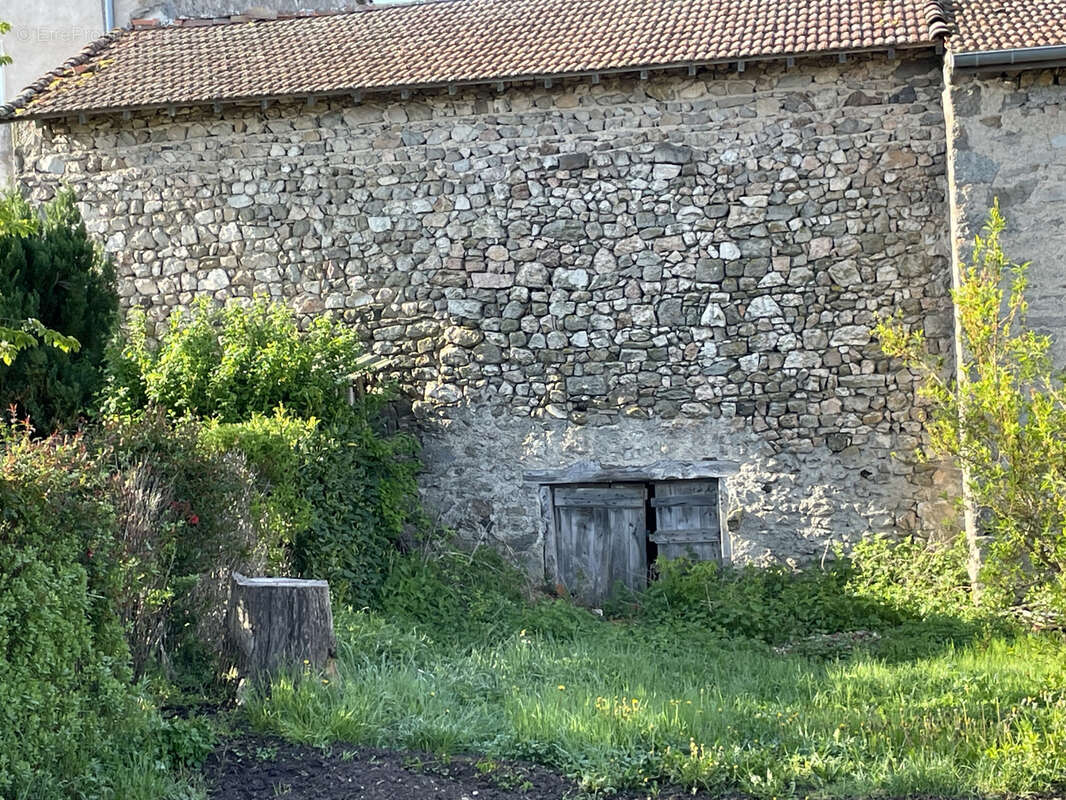 Maison en pierre avec exterieur - photo 2