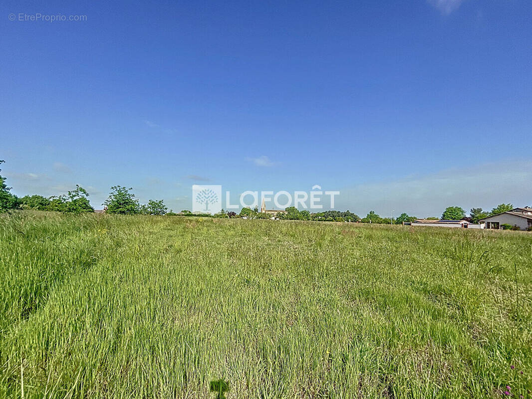 Terrain à GARGANVILLAR