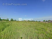 Terrain à GARGANVILLAR