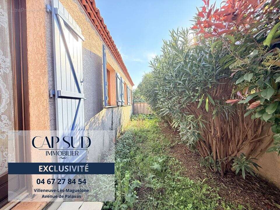 Maison à VILLENEUVE-LES-MAGUELONE