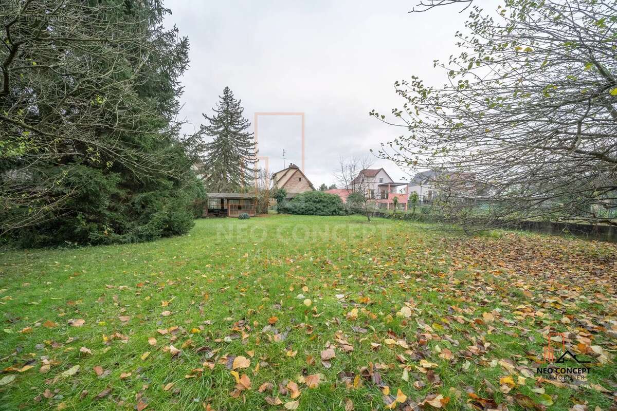 Terrain à DRUSENHEIM