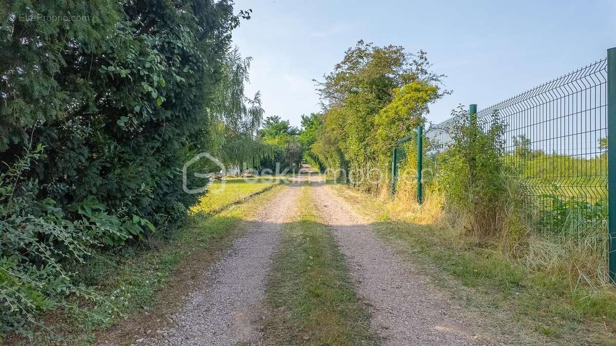 Charmante maison de caractère avec son agréable terrain, sa grande cave (et chaufferie) dans un quartier prisé et recherché de l - photo 19