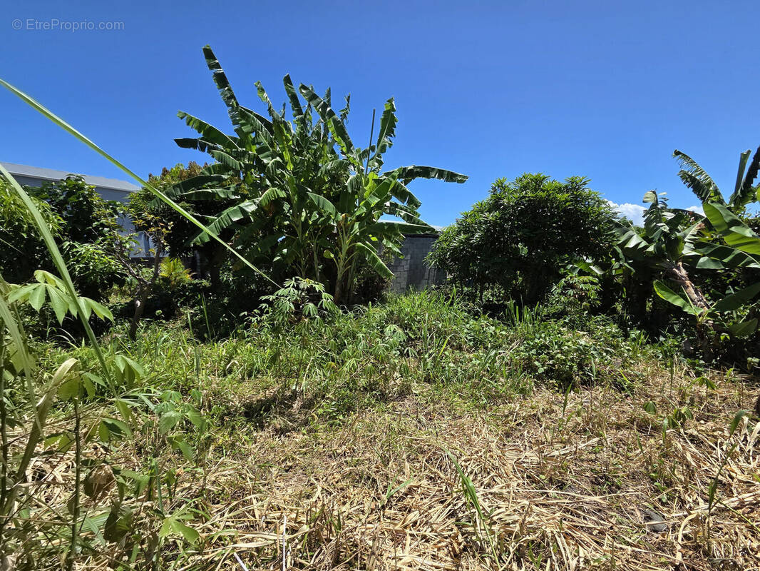 Photo 1 - Terrain à SAINT-ANDRE