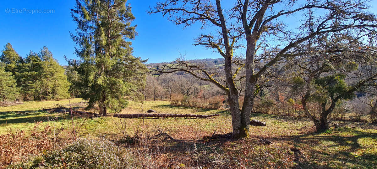 Commerce à CLERMONT-FERRAND