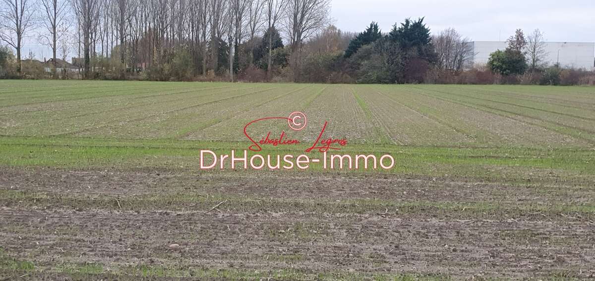 Terrain à MILLONFOSSE