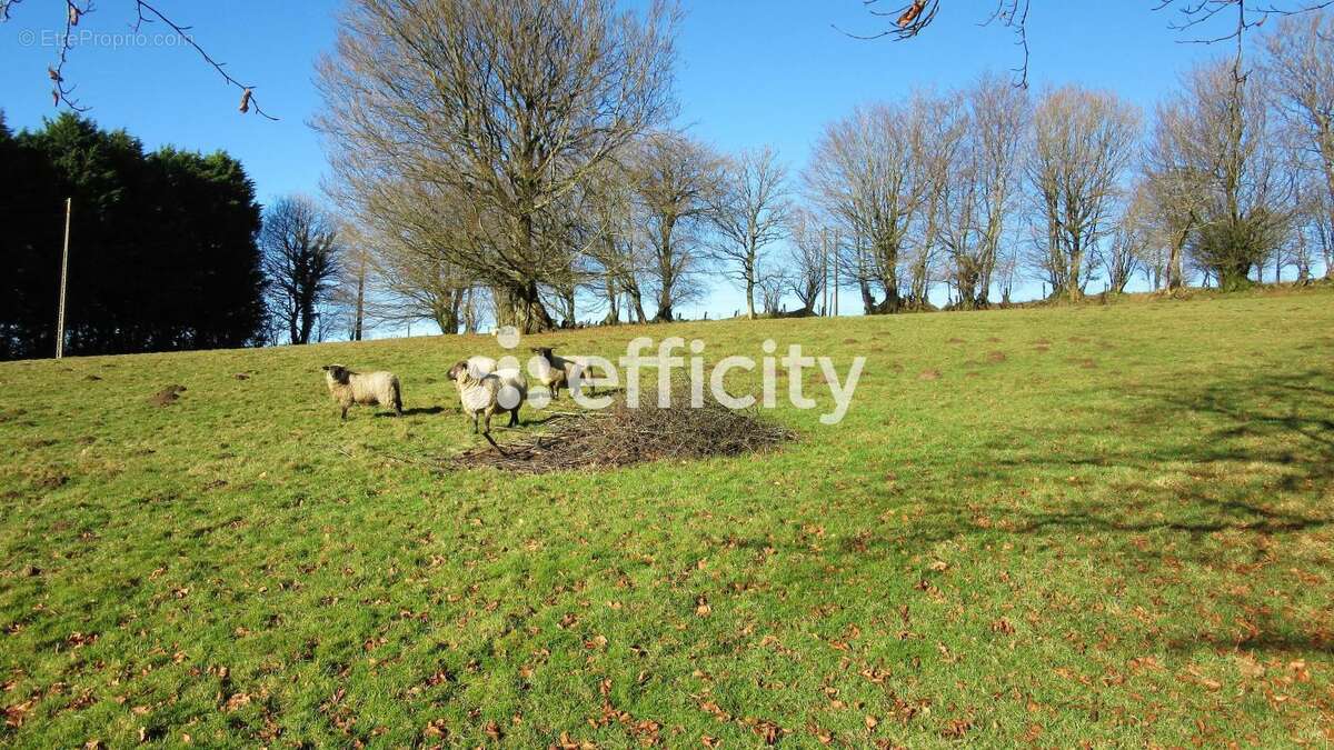 Maison à SAINT-SEVER-CALVADOS