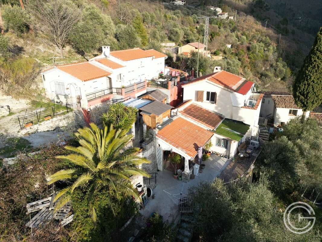 Propriété avec deux maisons et studio – 7 500 m² de terrain - route de l'Escarène - PEILLE - photo 2