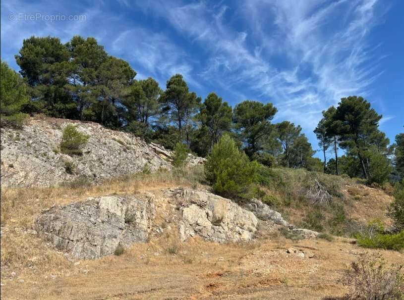 Figanières – terrain agricole et forestier de plus de 9 hectares - photo 12