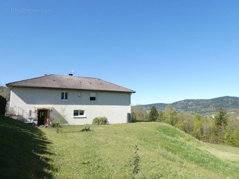 JULIENRUPT (88)à vendre , propriété T7 de 235m² , hangar extérieur , carport, terrain 8400m² - photo 1