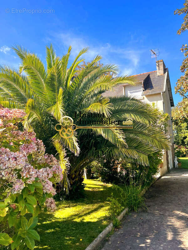 Maison à PLOUGASNOU