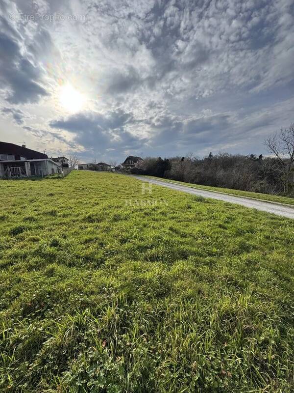 Terrain à SERRES-SAINTE-MARIE