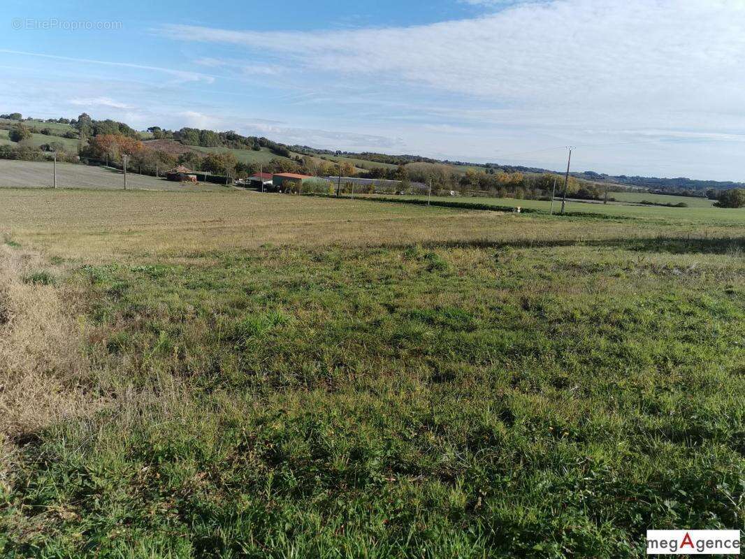 Terrain de 4817 m² constructible vue panoramique - photo 8
