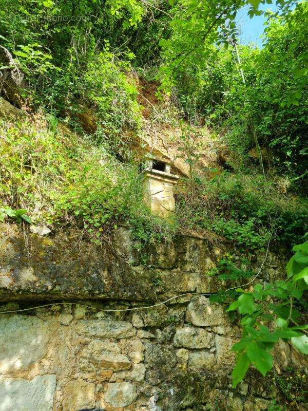 Maison troglodytique  avec caves et terrains - photo 12