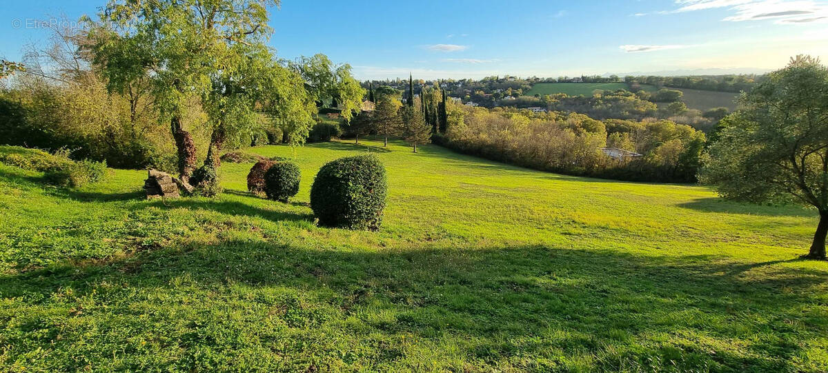 Terrain à VIEILLE-TOULOUSE