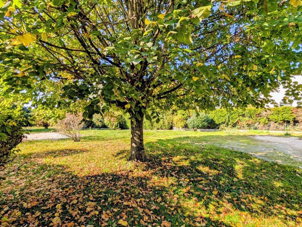 Terrain à CRIMOLOIS