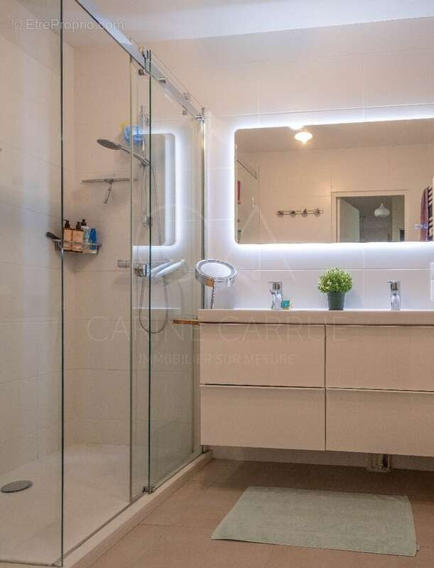 Appartement à TASSIN-LA-DEMI-LUNE
