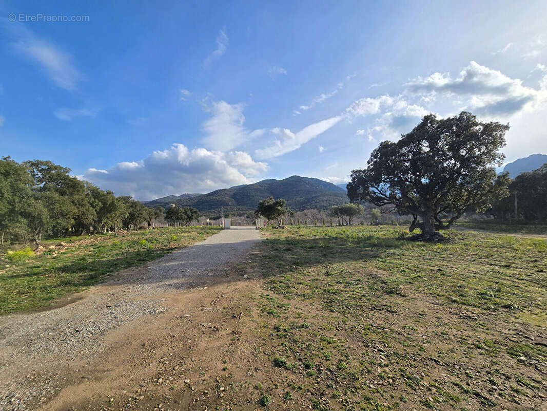 Terrain Argeles Sur Mer 44784 m2 - photo 10