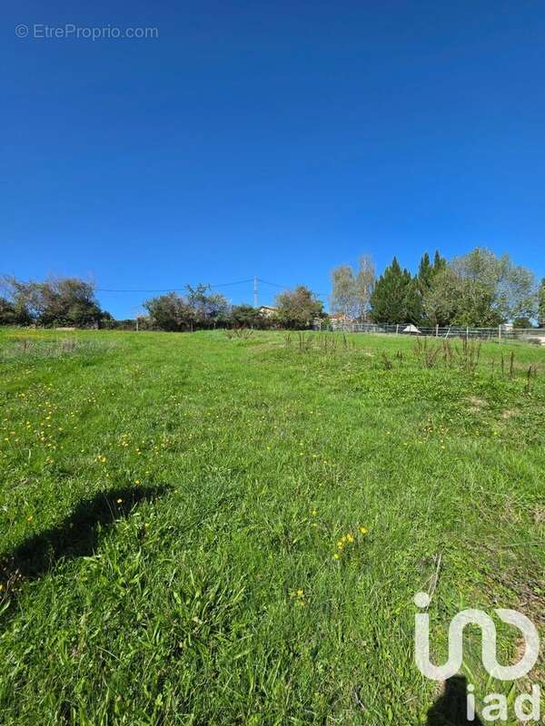 Photo 3 - Terrain à CUSSET