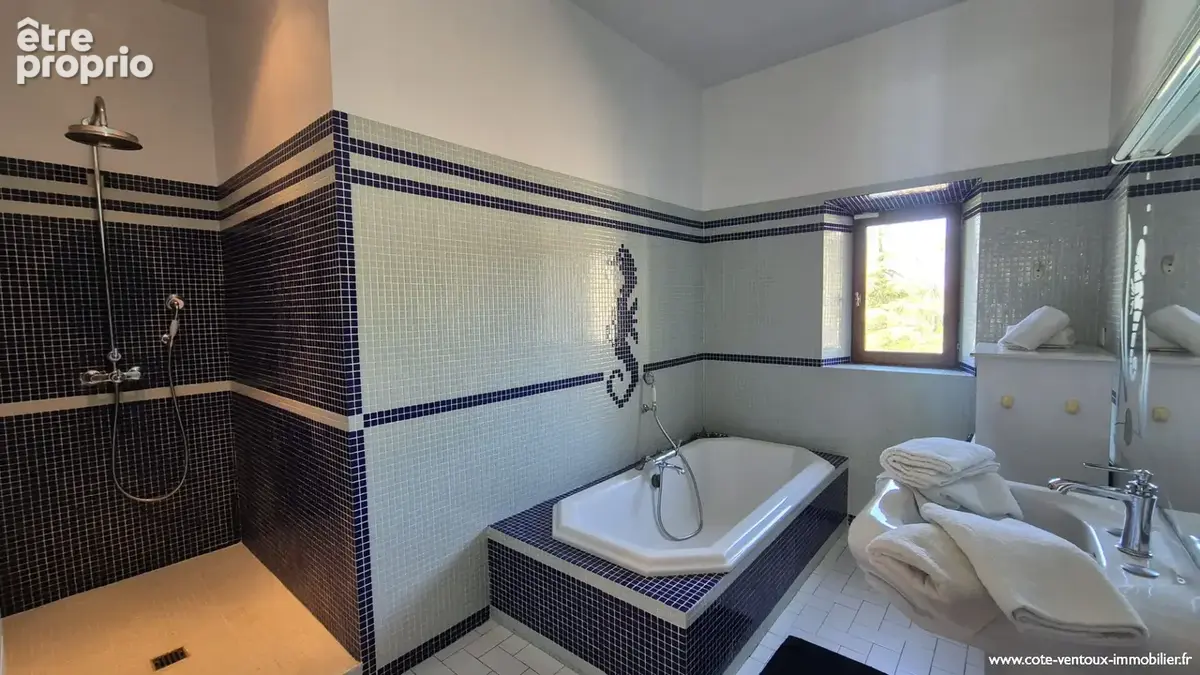 Rare : Demeure de 1900-180M² + dépendance 83M²-Terrain arboré 1700 M²-Piscine 11X5estige Le Pontet 7 pièce(s) 290 m2 - photo 10