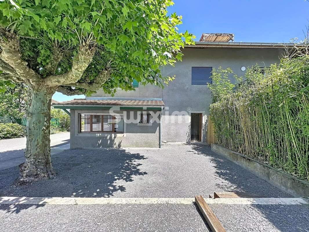 Maison à MASSONGY