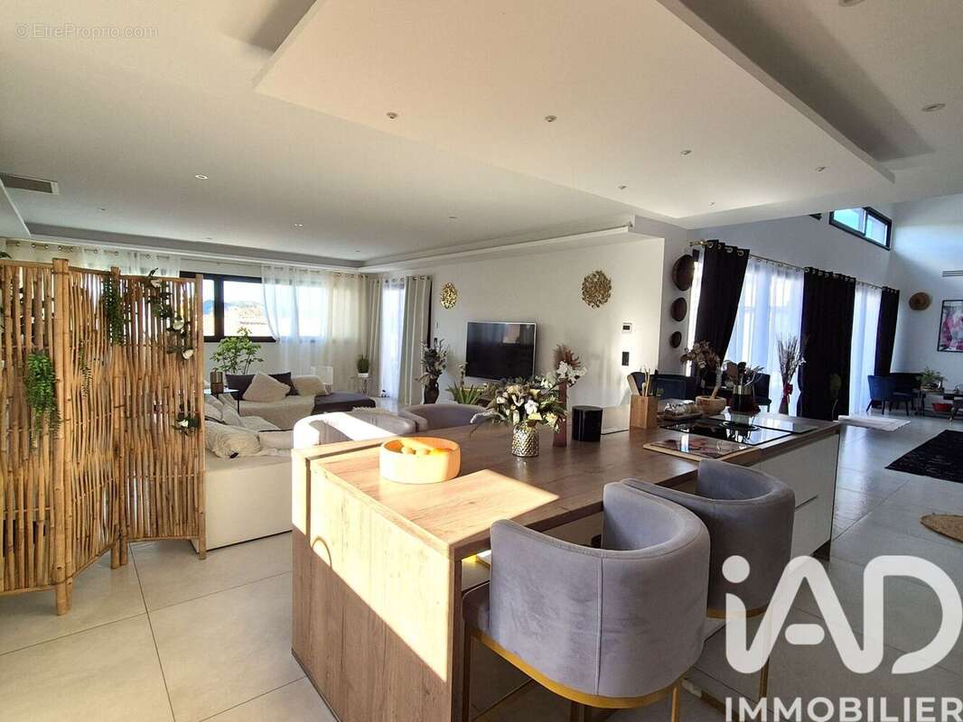 Maison 310 m² à Saint-Michel-D'euzet  - photo 5