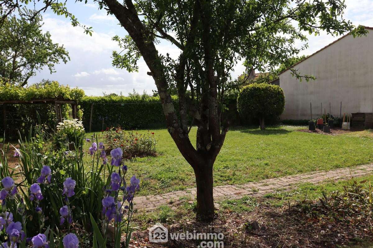 Terrain arboré. - Terrain à SAINT-VINCENT-SUR-JARD