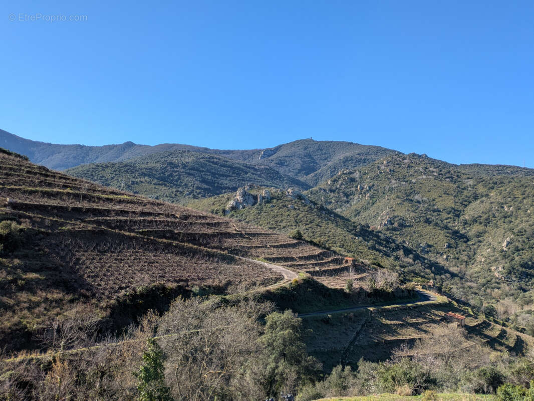 Vigne a vendre a collioure, avec casot, jolie vue - photo 5