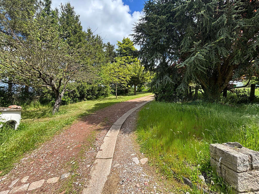 Maison à ROCHE-LA-MOLIERE