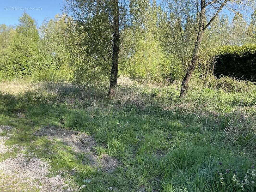 Terrain à BEAUMERIE-SAINT-MARTIN