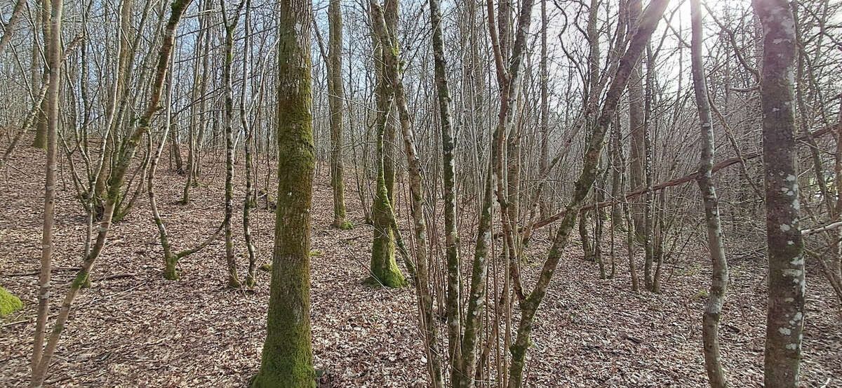Terrain à GERNELLE
