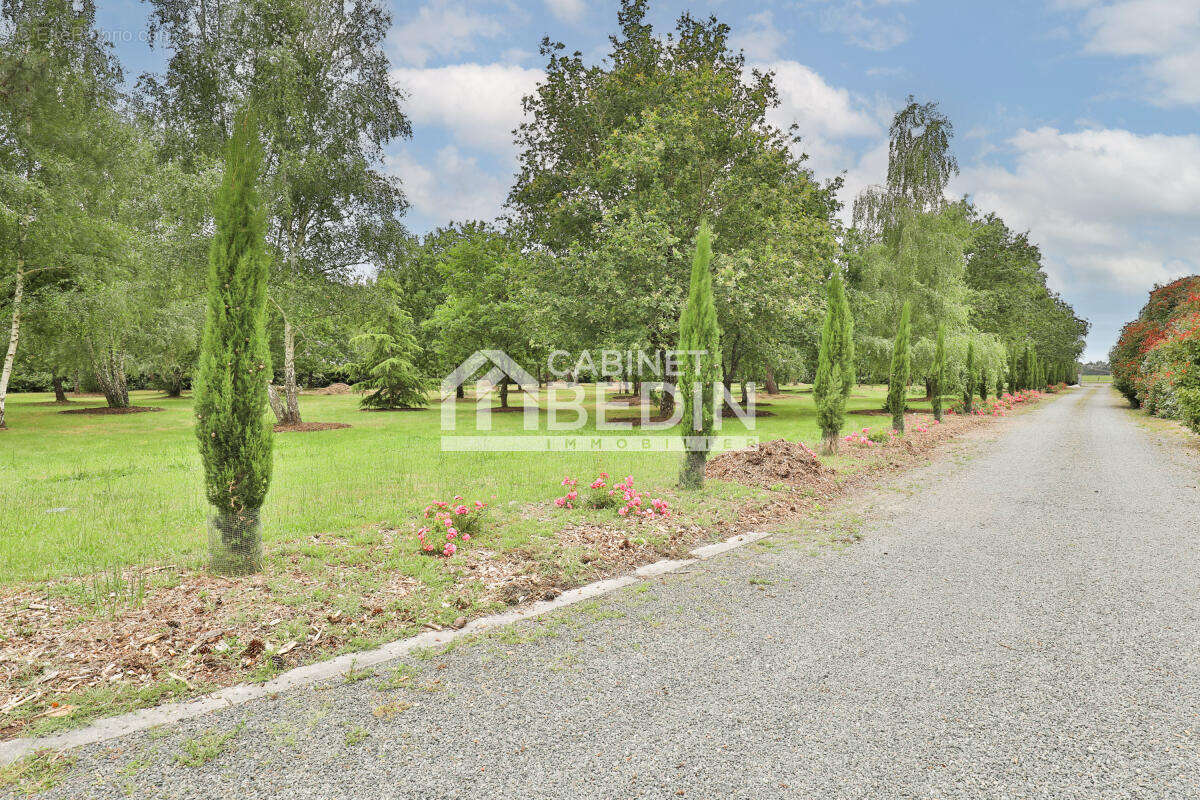 Maison à GUJAN-MESTRAS