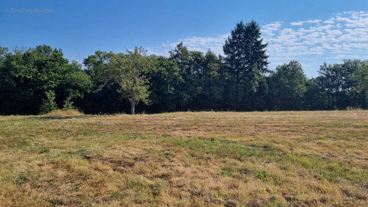 20240812_104403 - Maison à LE BOURDEIX