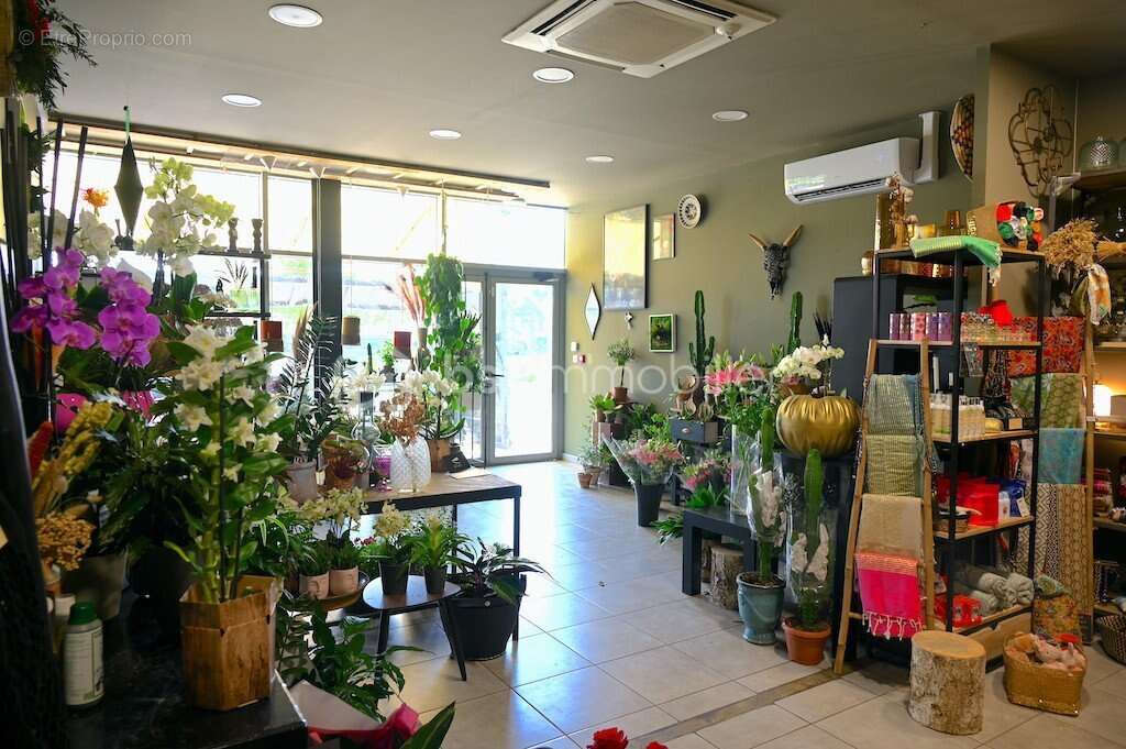 Commerce à SAINT-LAURENT-DES-ARBRES