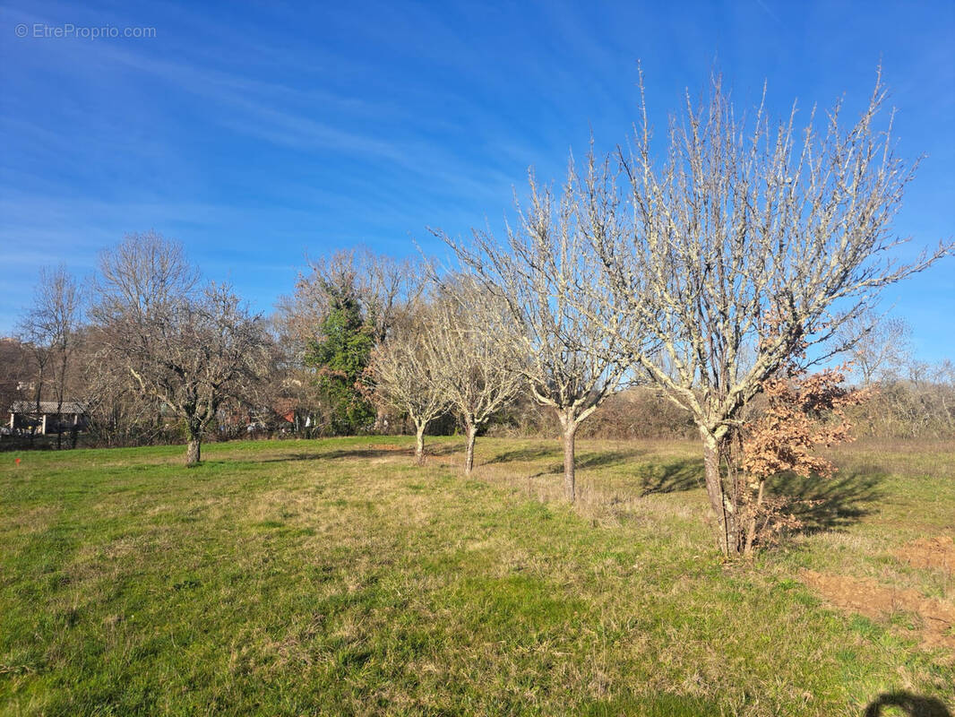 Terrain à PUYLAROQUE