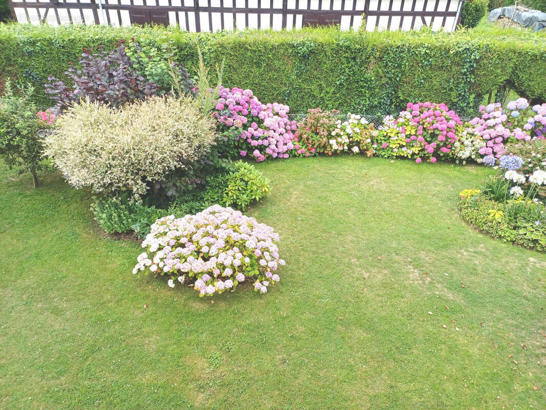 Maison à BRACQUEMONT