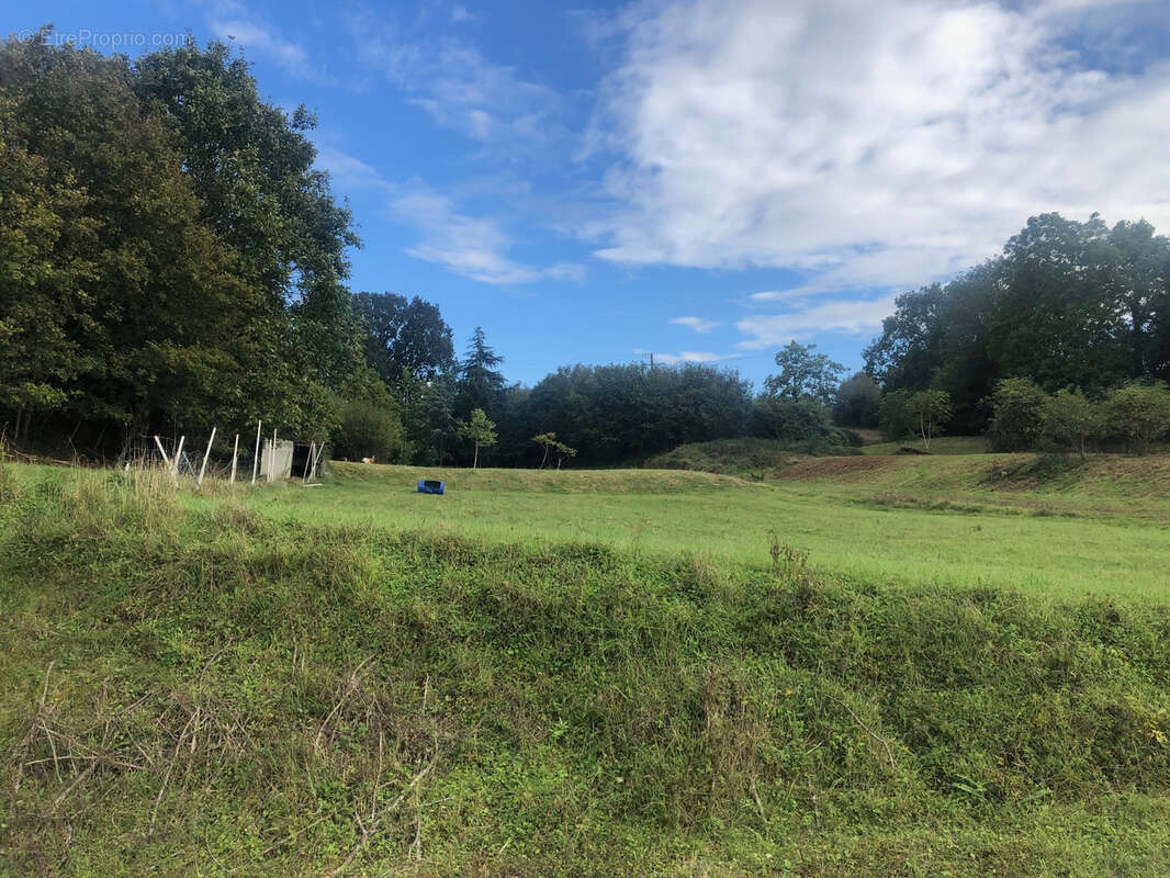 Terrain à CONNERRE