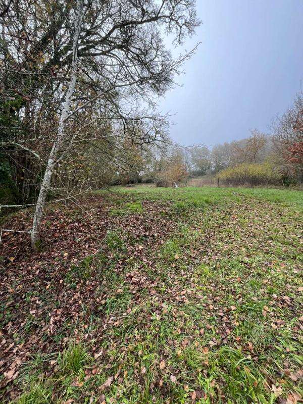 Terrain à CHAMPCEVINEL