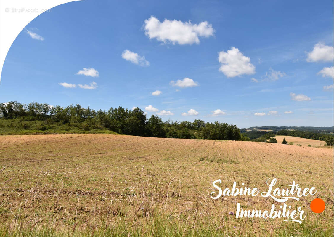 Terres agricoles sur le terroir de l'aïl rose de Lautrec - photo 2