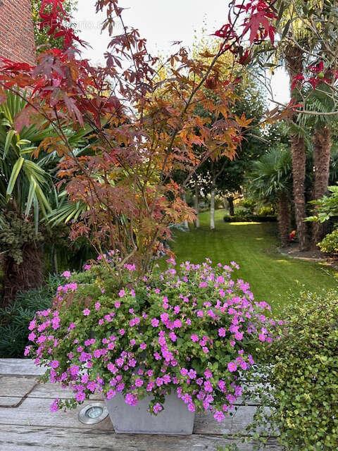 Maison à LA CHAPELLE-D&#039;ARMENTIERES