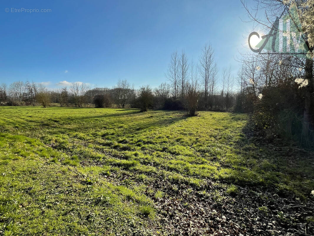 Terrain à BRAY-SUR-SEINE