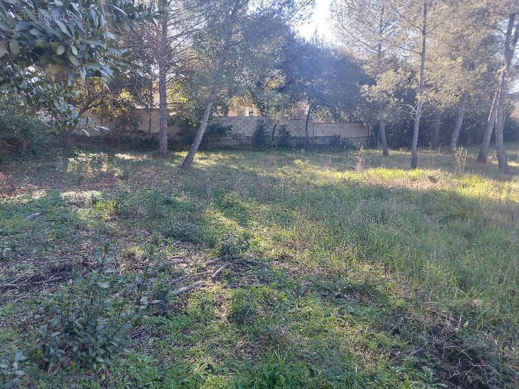 Terrain à SAINT-DREZERY