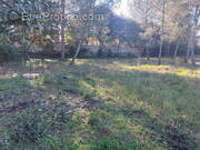 Terrain à SAINT-DREZERY